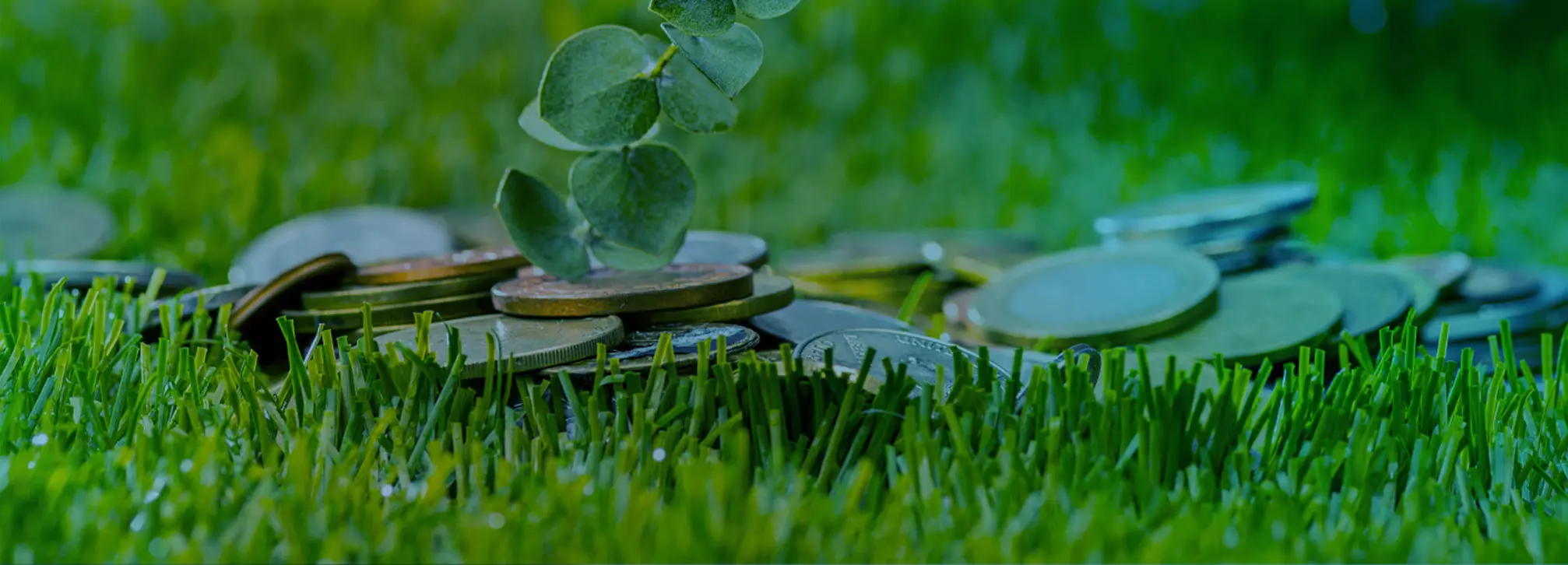 Deze energiesubsidies veranderen in 2024 - Eekels Poulissen Airconditioning